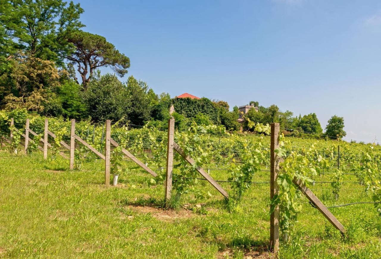 Willa Braga House & Wine Zewnętrze zdjęcie